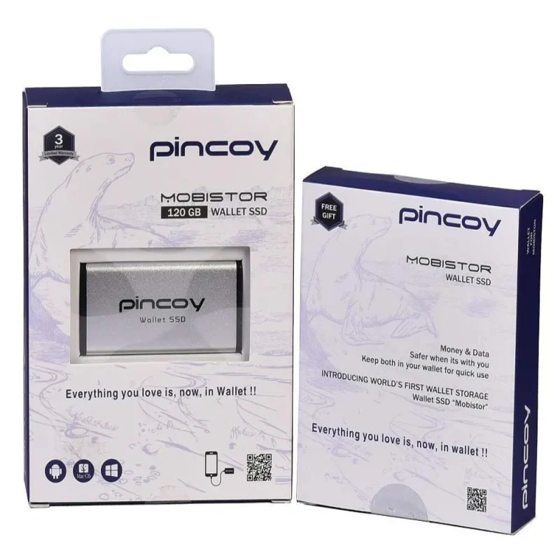 pincoy 120gb ssd wallet portable solid state drive